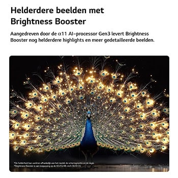 Een LG OLED evo AI C6 met Brightness Booster toont een donkere scène waarin een schitterend verlichte pauw zijn stralende, gloeiende veren spreidt, met helderdere hooglichten, verbeterde details en een opvallend contrast.